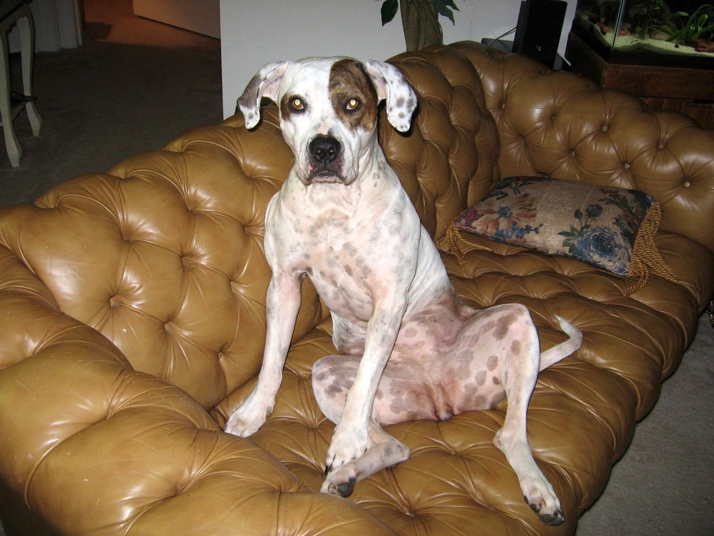 She sat like a person.